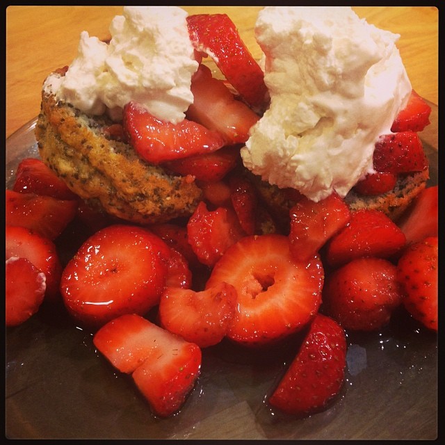 1395199_10152065893951874_1178735498_n